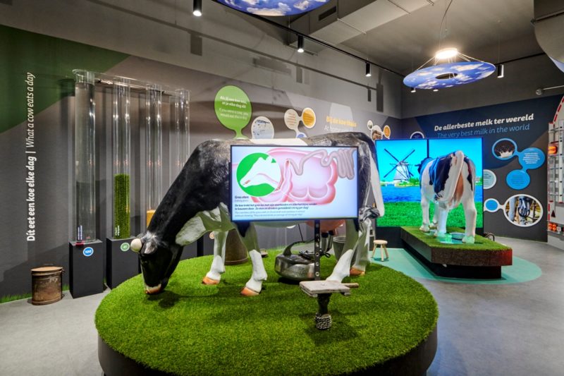 Gouda Cheese Experience Heijmerink Wagemakers