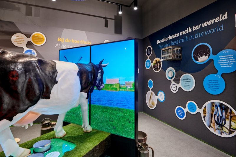 Gouda Cheese Experience Heijmerink Wagemakers